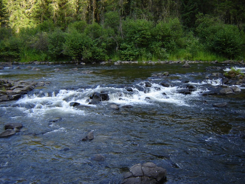 St. Maries River by bobshaw07