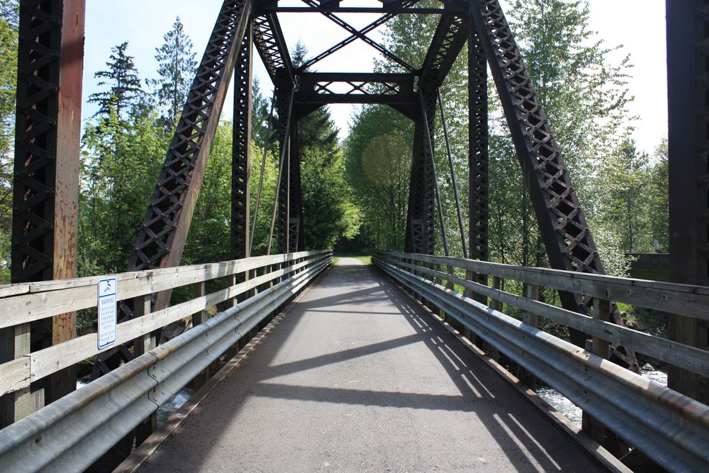 Carbon River Foothills Trail Bridge by Aubucks