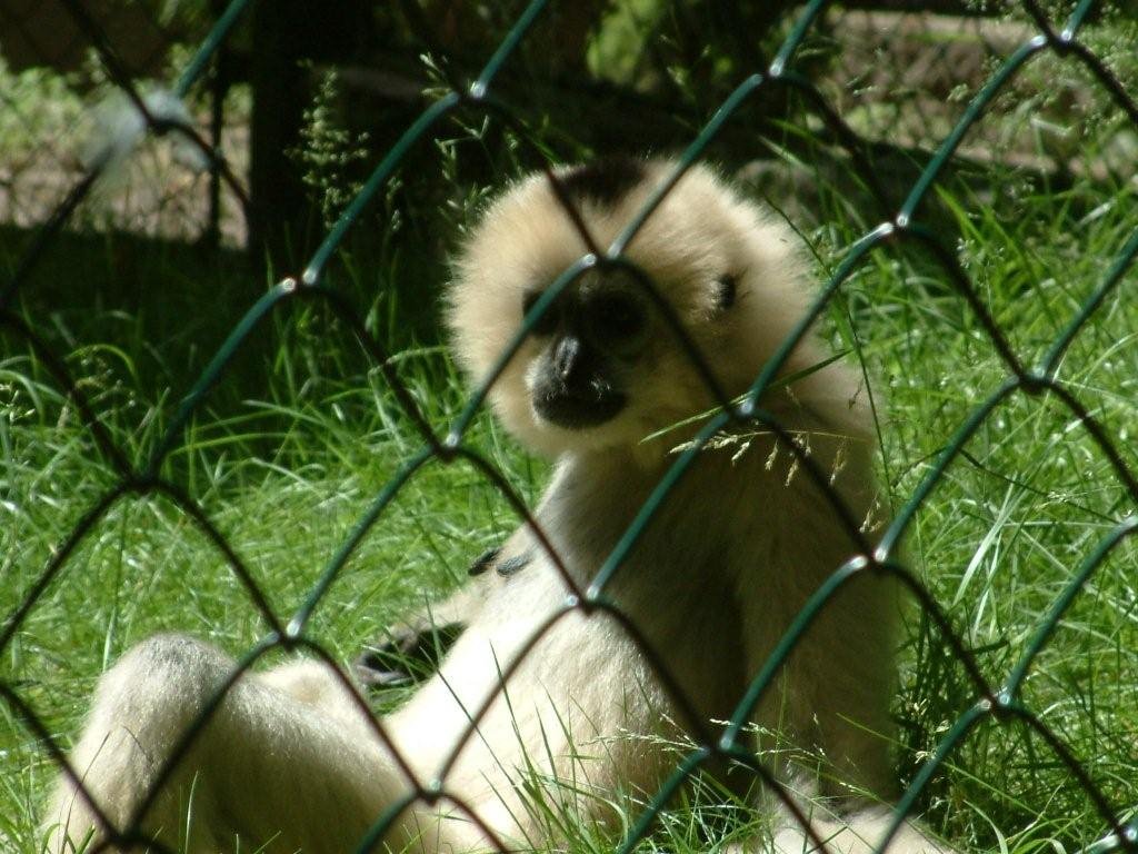 2009-06-26_Zoo Eberswalde by arckons