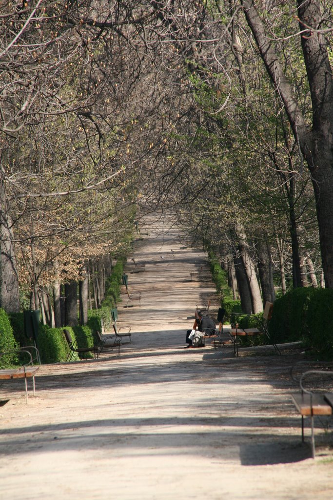 Retiro by CALABARDINA