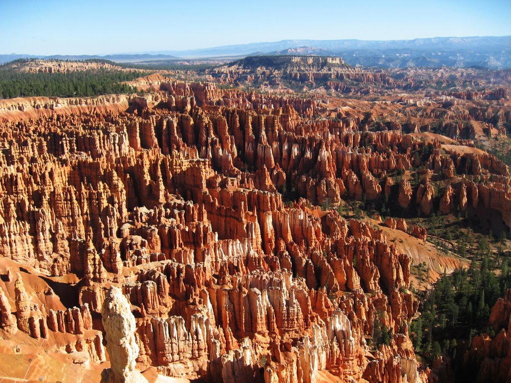 Bryce Canyon by Yannick Meyer