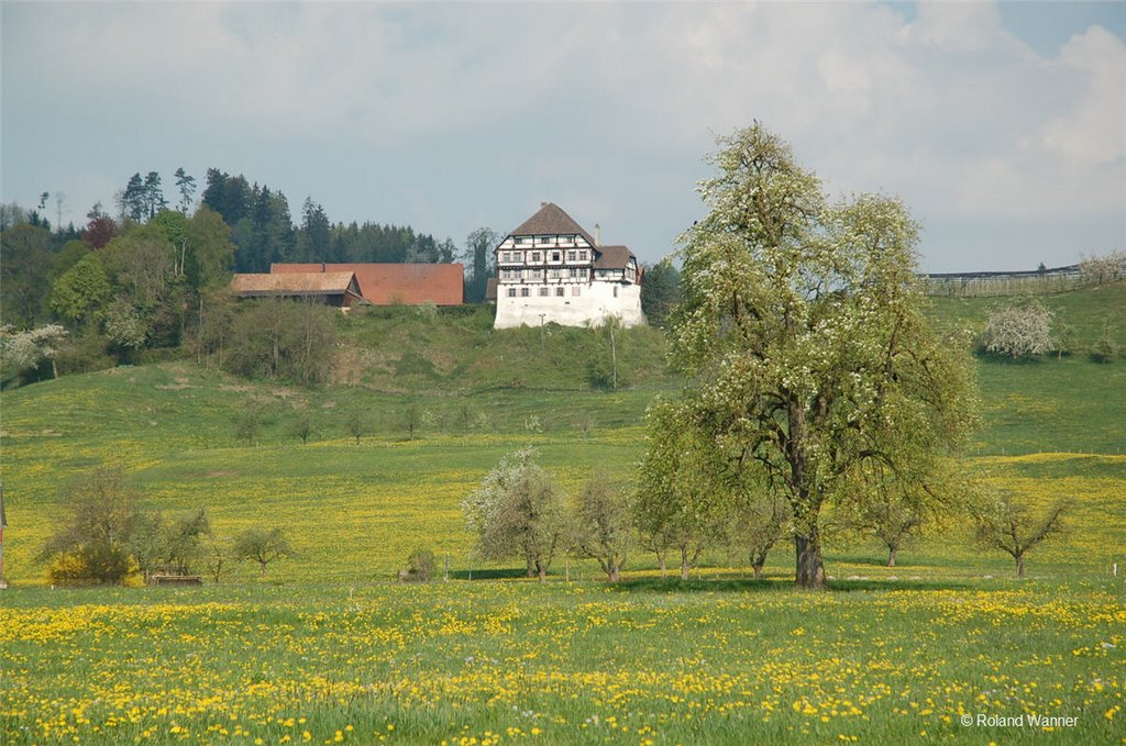 Schloss Zuckenriet by Roland Wanner