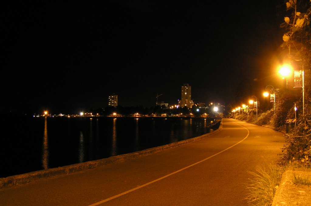 Nanaimo waterfront at night by Boris Gjenero