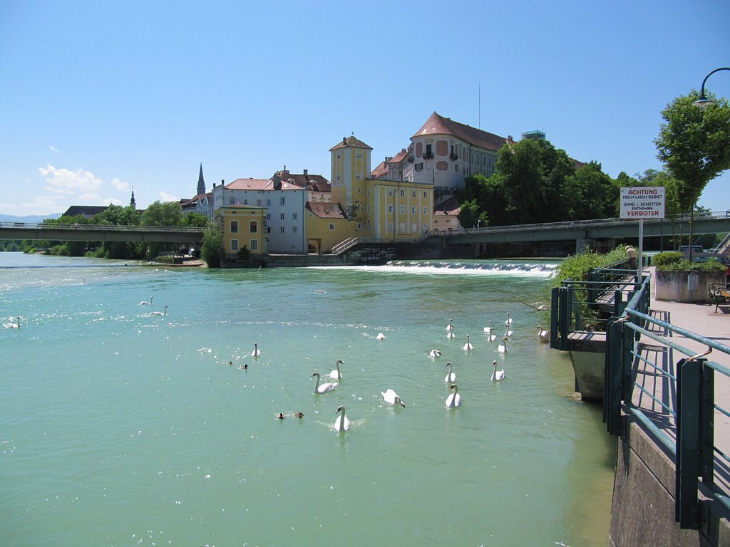 Zusammenfluss von Enns und Steyr by Kallaschek Robert