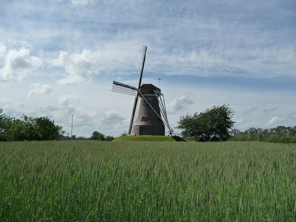 De Molen van Rekken 2009 by Jan Mellendijk