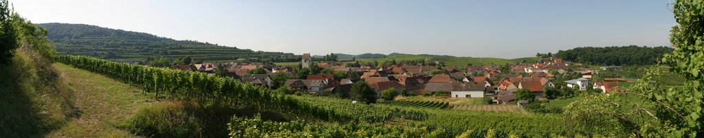 Bischoffingen (panorama) by post.an.ro