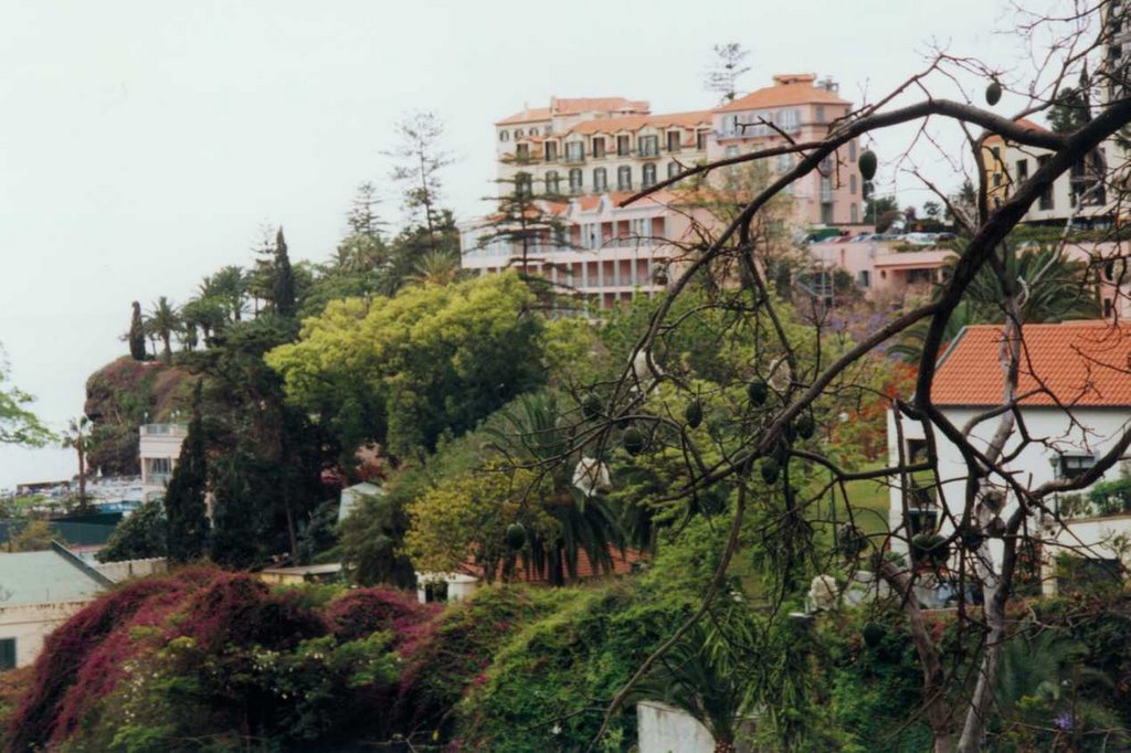 Blick auf Reids Hotel by Dietrich Krümmel