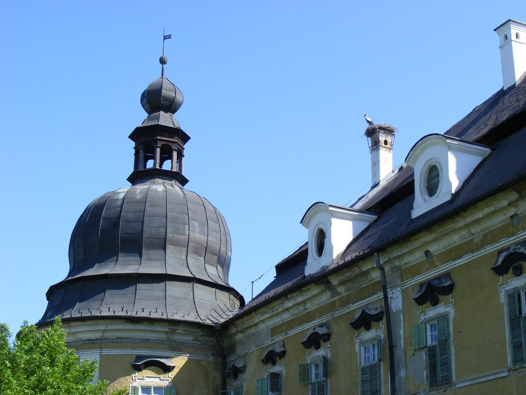 Edelény, Hungary by Tóthné Magdi