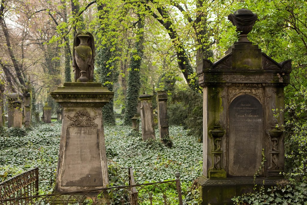 Malostranske Cemetery by Alexander S Mamontov