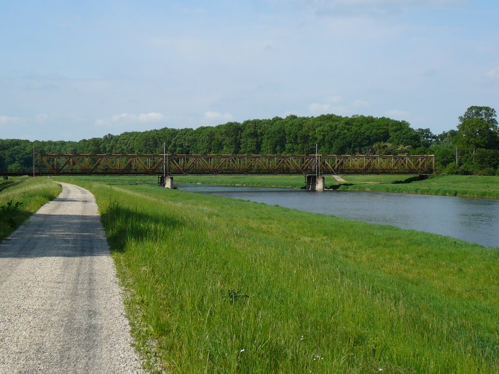 Moravská cyklistická cesta -železniční most Lanžhot- Brodské by Adnej