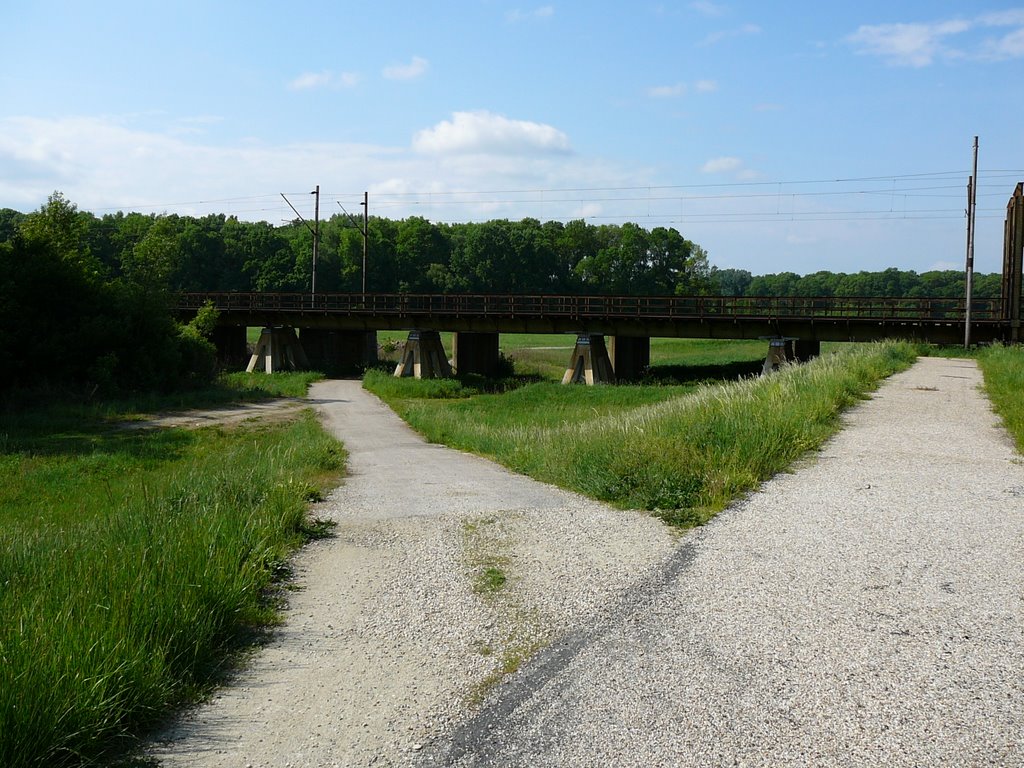 Moravská cyklistická cesta -železniční most Lanžhot- Brodské by Adnej