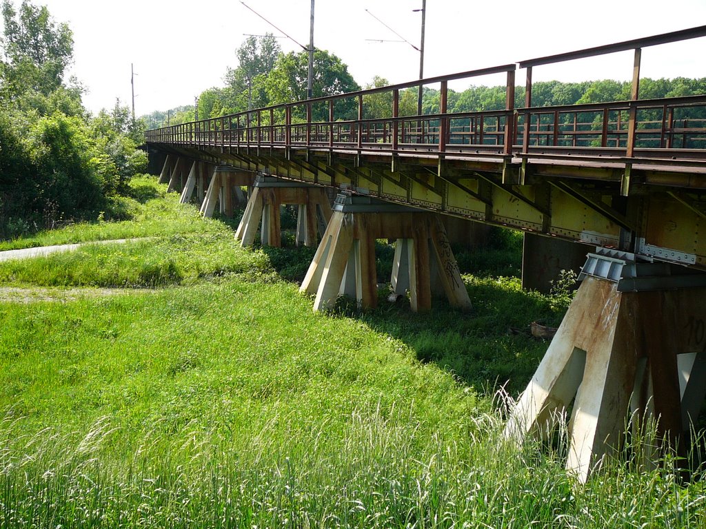 Moravská cyklistická cesta -železniční most Lanžhot- Brodské by Adnej