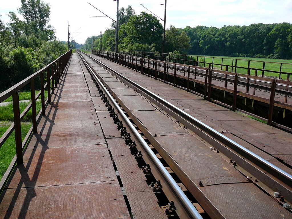 Moravská cyklistická cesta -železniční most Lanžhot- Brodské by Adnej