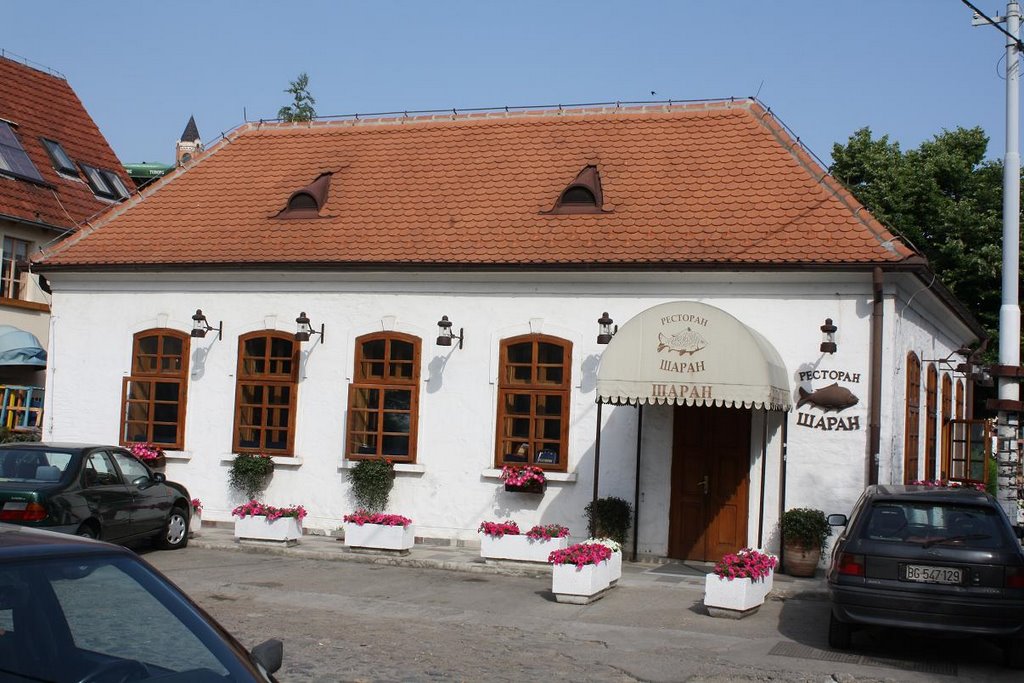 Famous Reastaurant CARP on Serbian Cyrillic * T-leon May 2009 by Miroslav Trbović