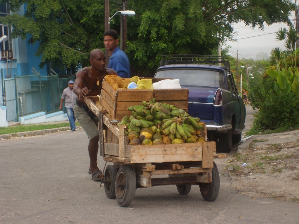 Vendedor de frutas y viandas. by totico