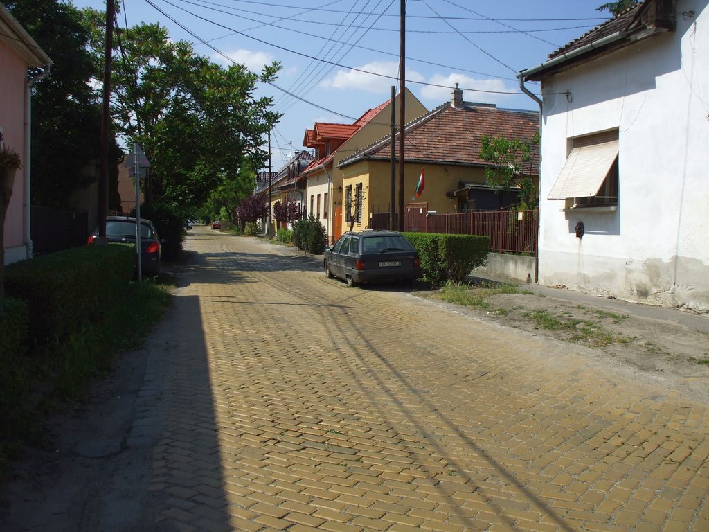 Bp XV.ker Gergő utca,a Bánk utca felől,2009 május 17-én by Vastalicska