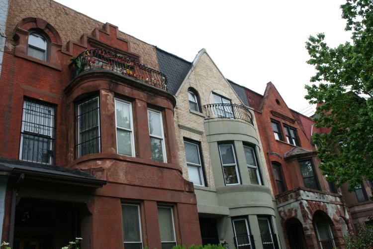 Bergen Street, Crown Heights North by Emilio Guerra