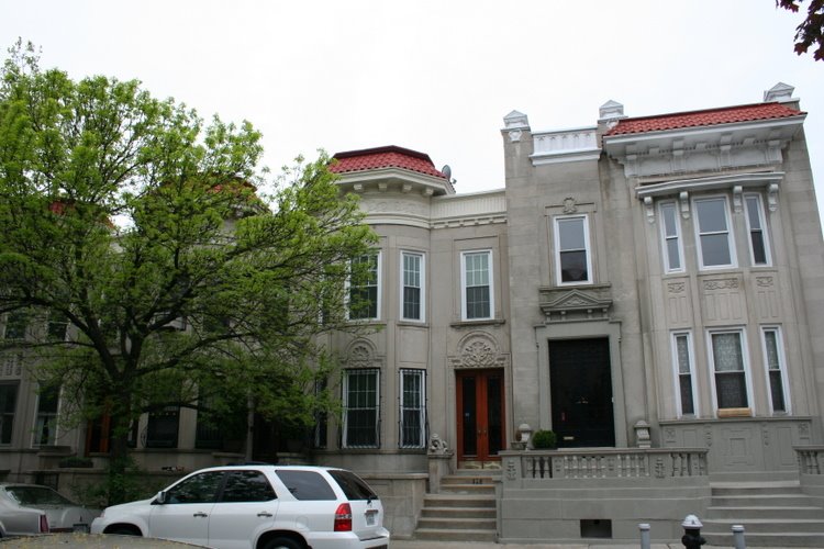 Maple Street, Prospect-Lefferts Gardens by Emilio Guerra