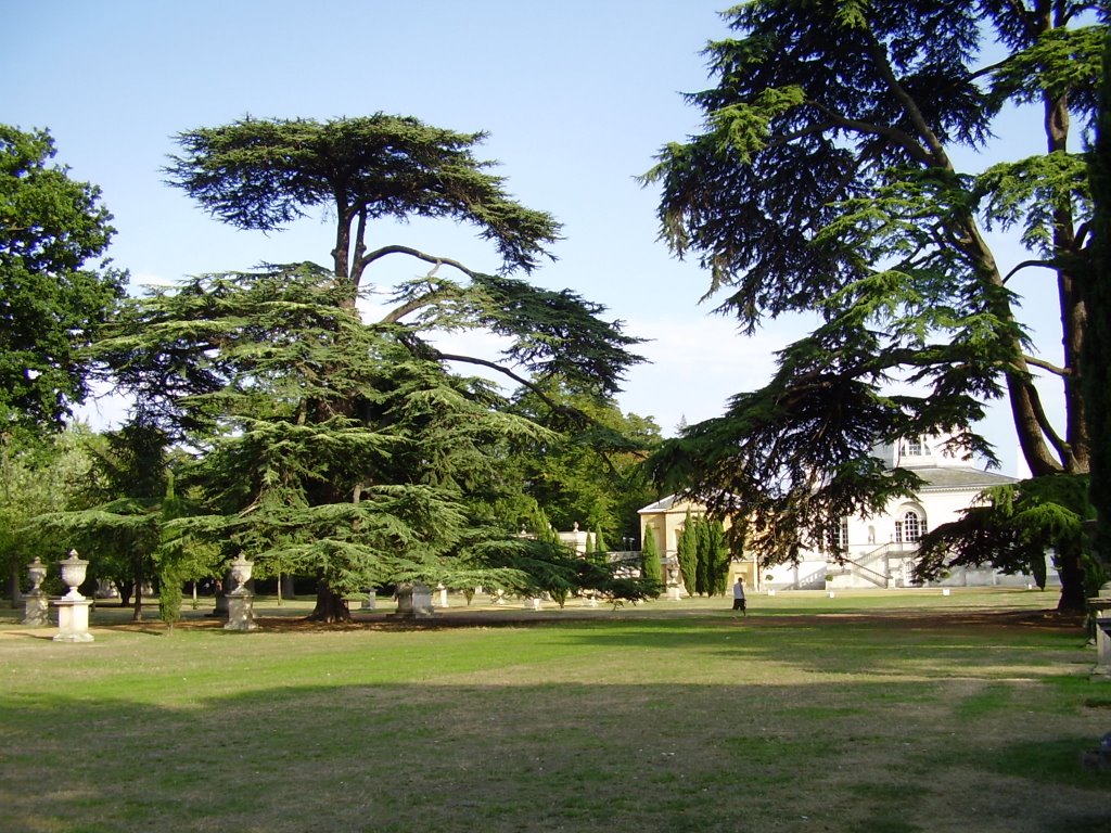 Chiswick House, Chiswick House Gardens, London by anasazy