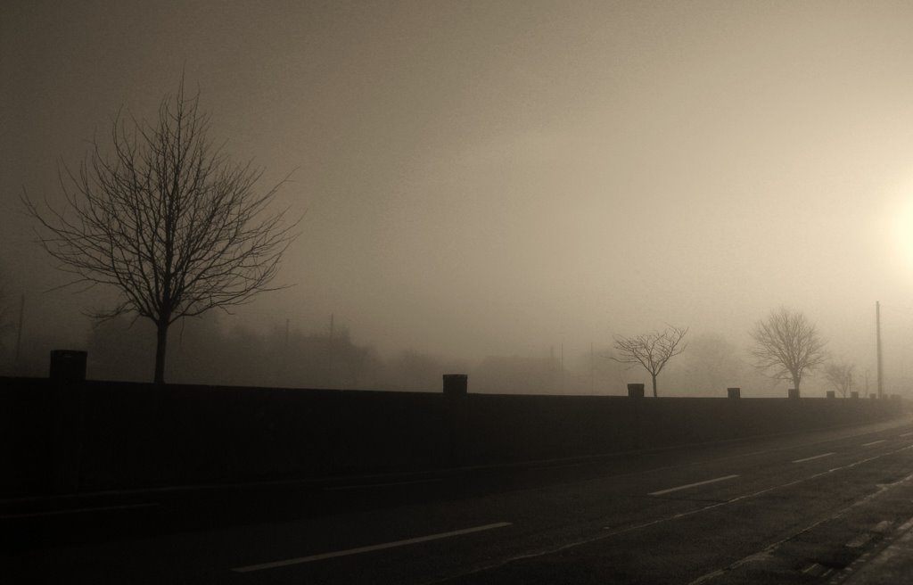 Townparks (1st Division), Co. Galway, Ireland by Andy Newman.