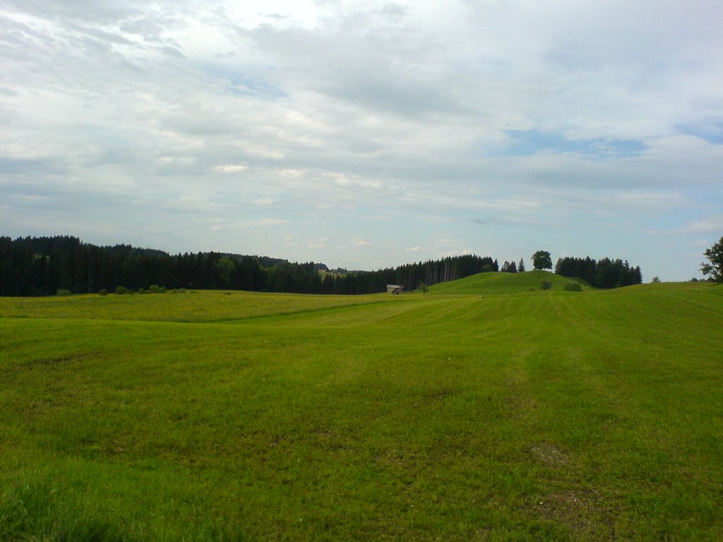 Ellhofen - auf dem Weg zur Queralpenstraße by 4613213672221