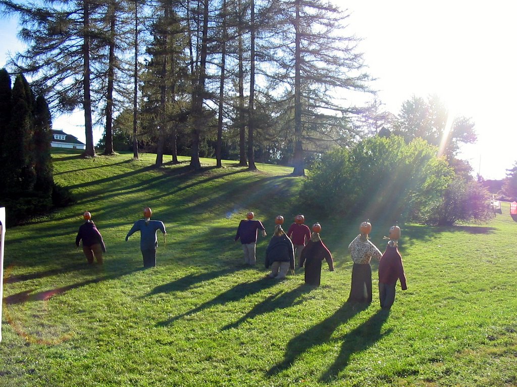 Pumpkin People at Kentville, Nova Scotia by John R MacInnis