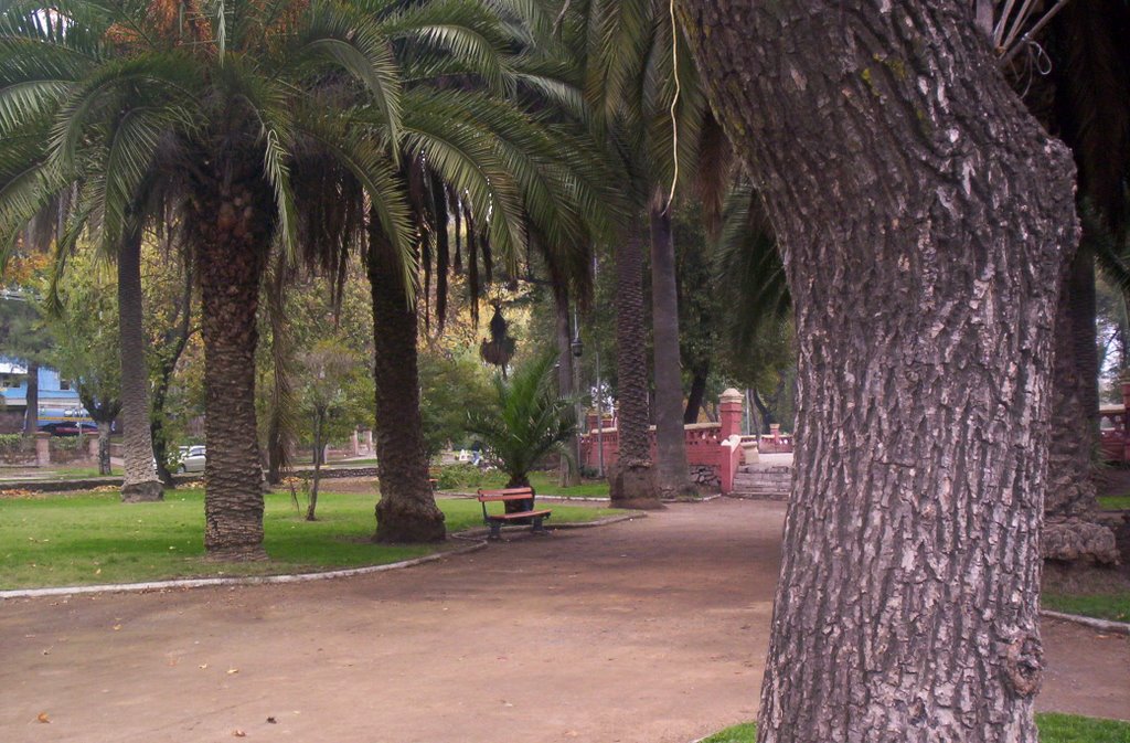 Curico, Parque Alameda by Jaime Flores B