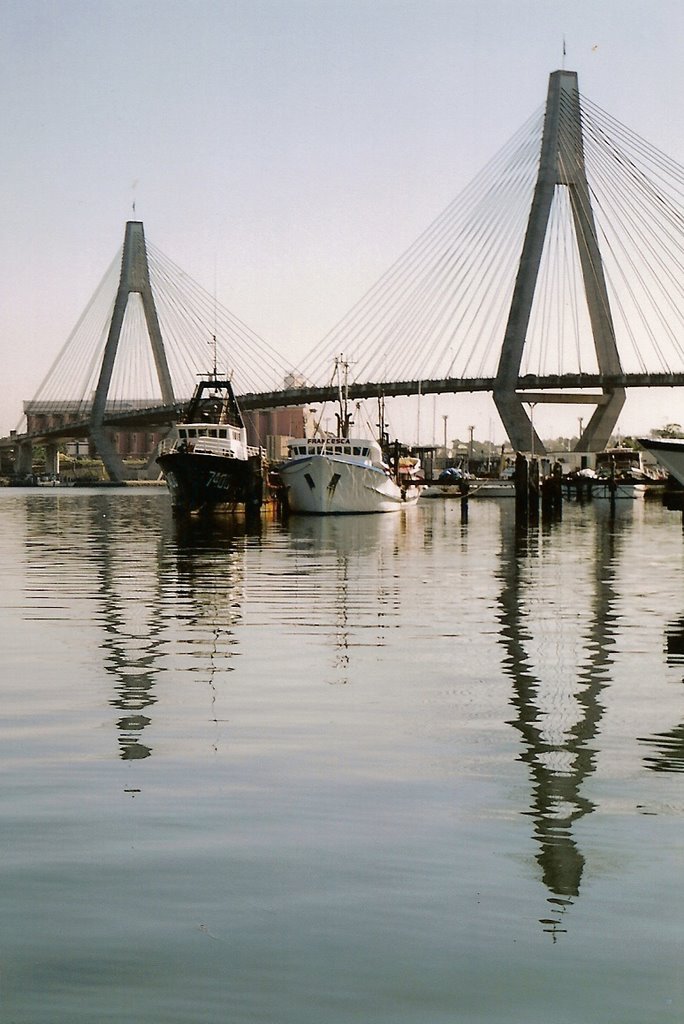 Anzac Bridge by Miriam Gravino