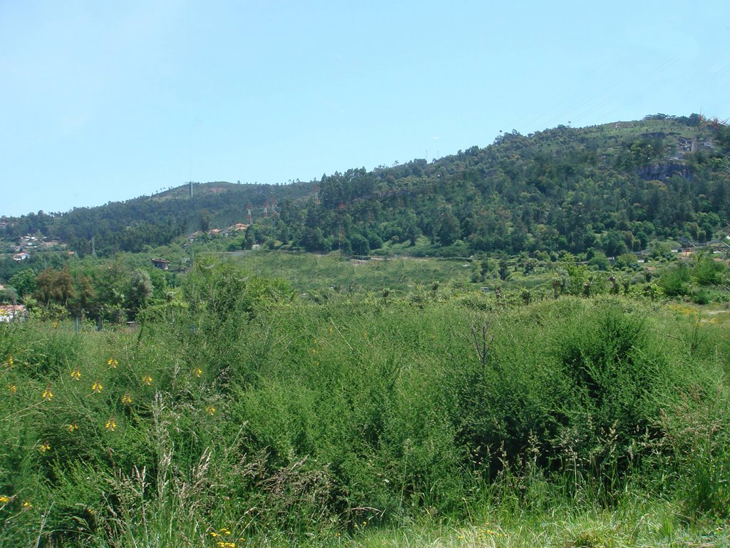 View from Escola de Palmeira by J. Braga