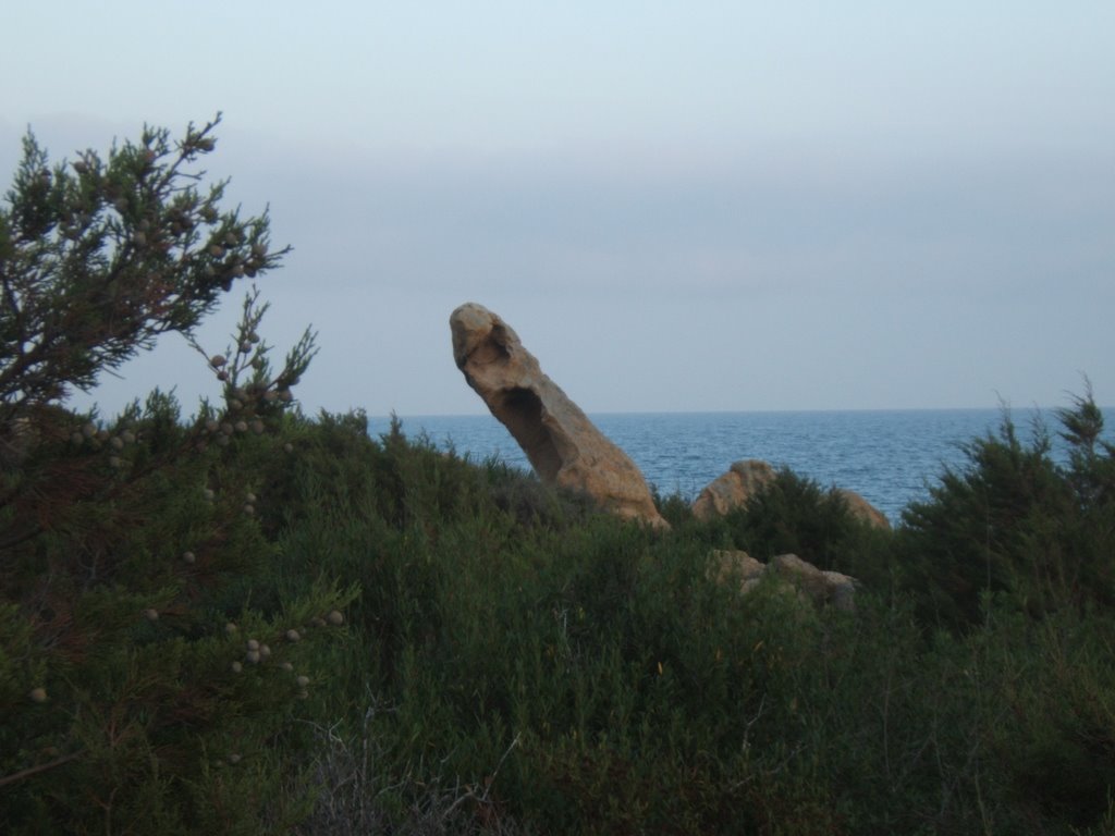 Roccia erosa dal vento...capo comino by krokkas