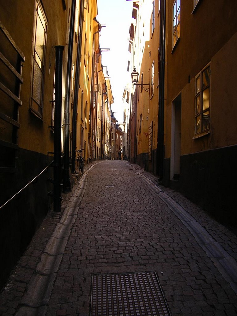 Nice street in old town by yeguar