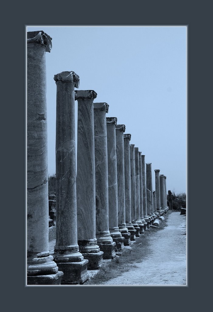 Antique columns of Perge (Turkey) by salchee