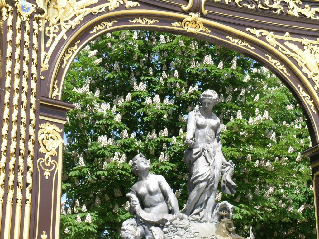 Place Stanislas - Nancy - France - 2007 by BernardWenger