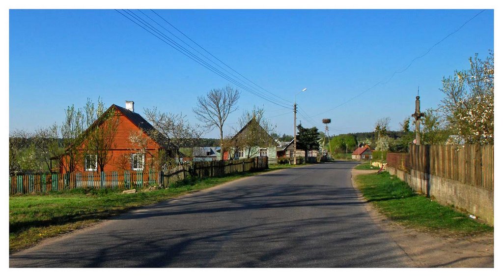 Skieblewo village, Augustów Forest on the horizon by Jerzy Szygiel