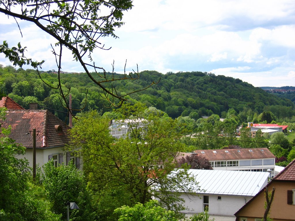 Blick Richtung Kusterdingen by maiermo