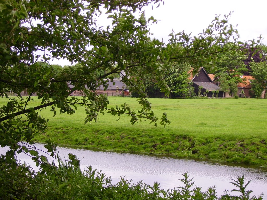 De laatste boer in Voorschoten by Floortje Forescate