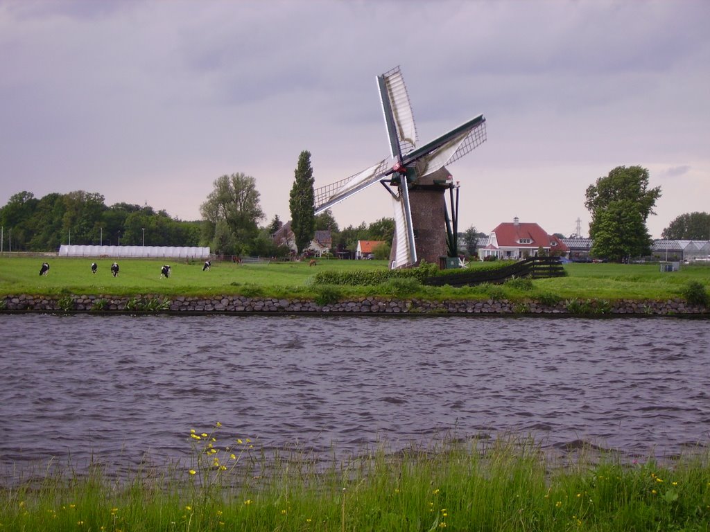 Knipmolen Voorschoten by Floortje Forescate