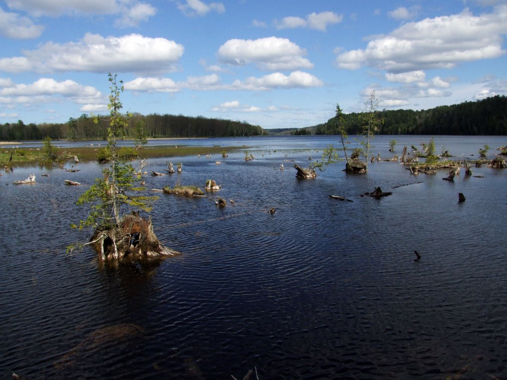 Au Sable River by chrisf66