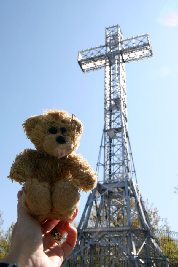 Raymond at the Mount Royal by metallyza