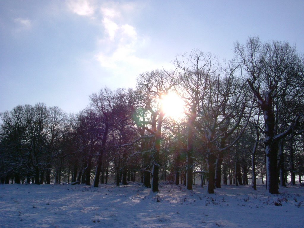 Snow walk. by BarnyS1