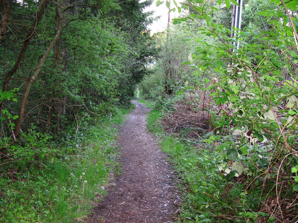 Downhill trail at FT Steilacoom Park by X-Rayz