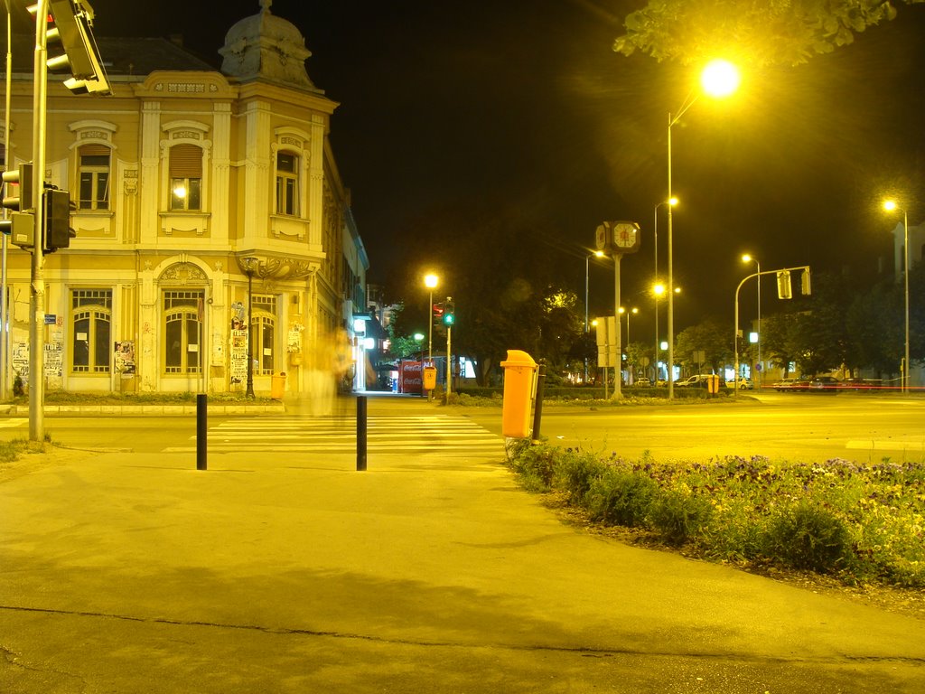 Pedestrian-crossing by Prebo