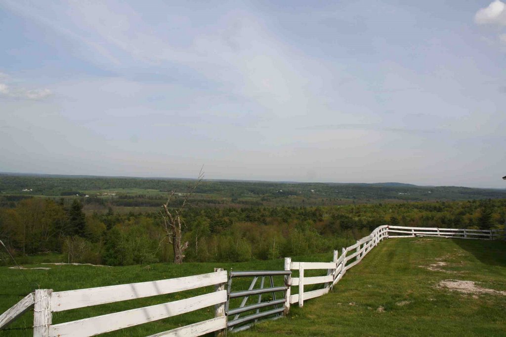 View From Gloucester Hill by Andri Kyrychok