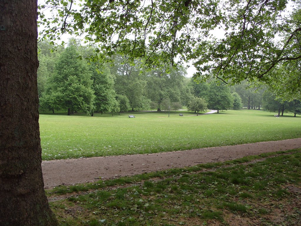 Green park by Pasquale Barbato