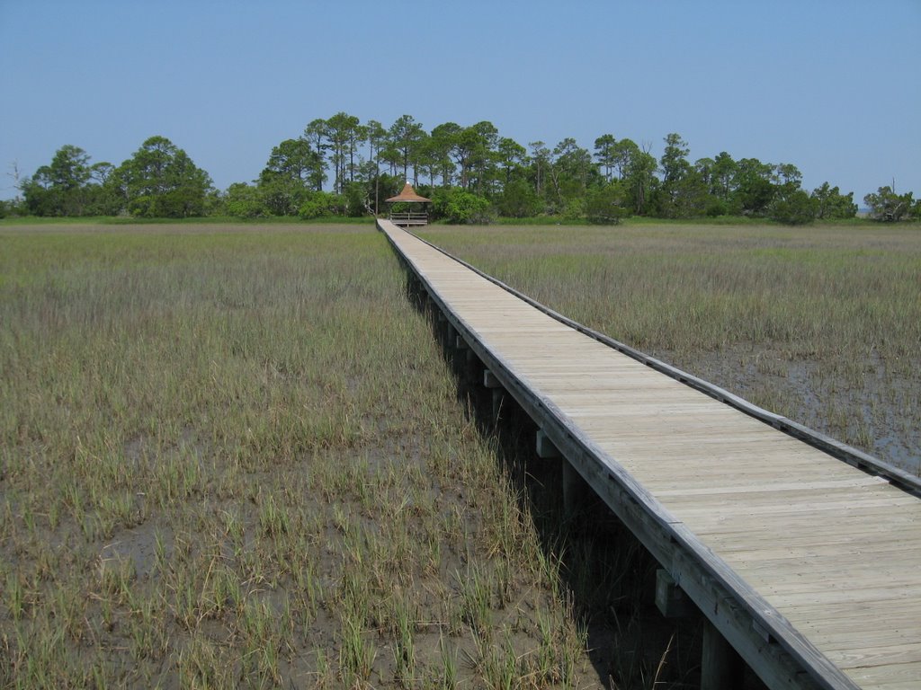 Hunting Island Marsh Boardwalk by Chris Sanfino