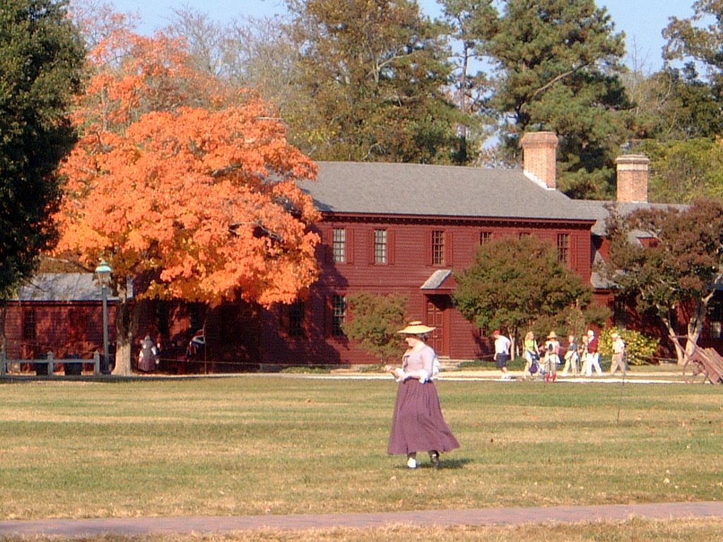 Williamsburg Historical Site by Don Rifflart