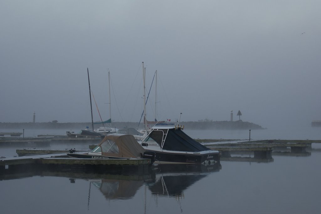 Foggy Marina by Kittredge