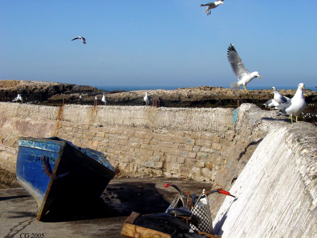 Muralla-barca-gaviota-moto-Essaouira by felixario