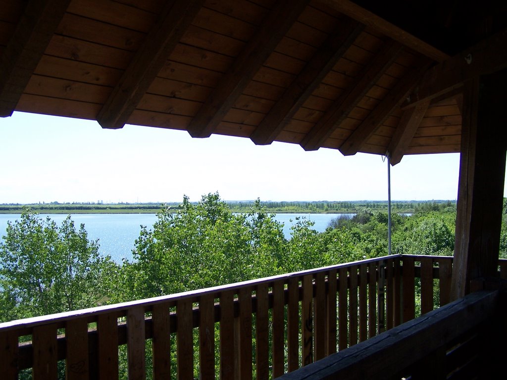 Blick vom Ausichtsturm Raßnitzer See by bodoaushalle