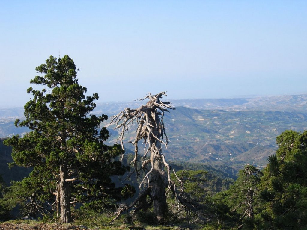 Troodos Atalante Nature Trail 1 by Metten